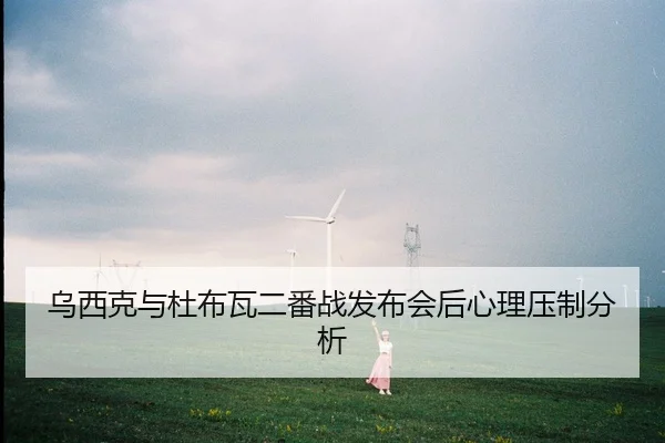 乌西克与杜布瓦二番战发布会后心理压制分析