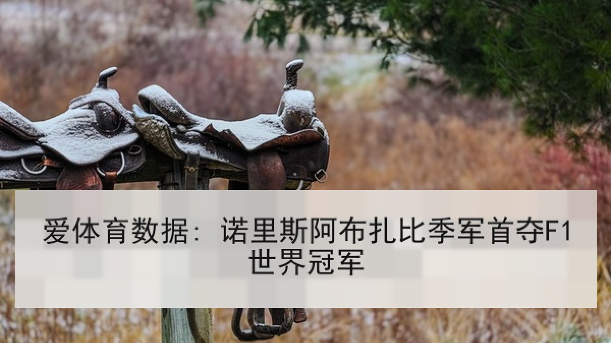爱体育数据: 诺里斯阿布扎比季军首夺F1世界冠军